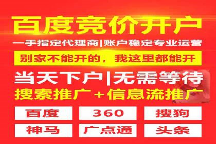 SEM竞价优化实战：提升转化率案例分析